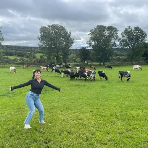Cows!!!